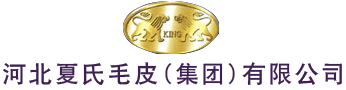 永嘉縣博得流體設(shè)備有限公司